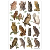 owls | sticker sheet