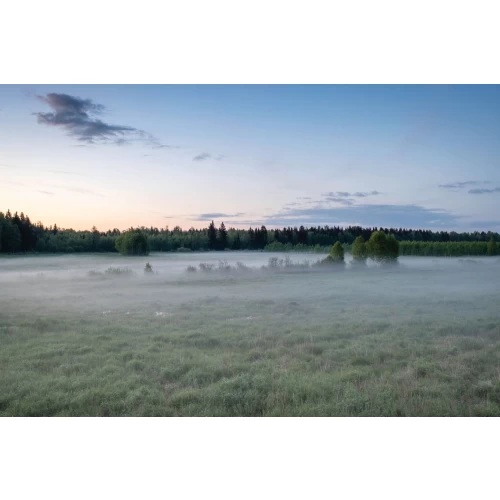 Nebula postcard #101: Evening in Rūdninkai forest
