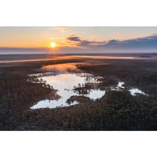 Nebula postcard #068: Sunrise in Rūdninkai forest