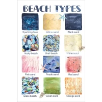 Postcard #1106 | Beach Types