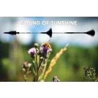 Postcard #1116: Sound of Sunshine