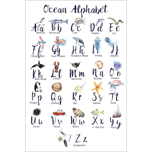 Postcard #1145 | Ocean Alphabet