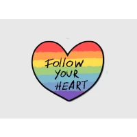 Vinyl sticker #018: Follow your heart