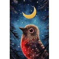 Postcard for postcrossing, bird