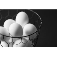 Easter postcard, Black and white postcard