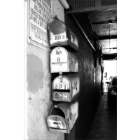 Mail boxes postcard | Black and white postcard