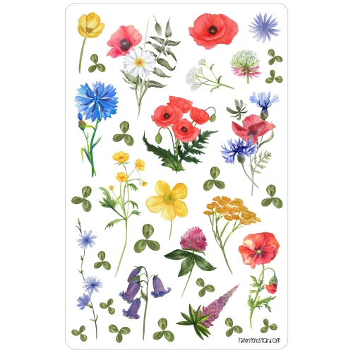 Sticker sheet #157: Wild meadow flowers, MAXI