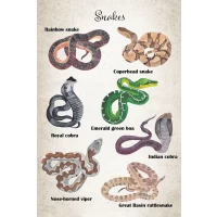 Postcard #1804 | Snakes