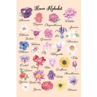 Postcard #1814 | Flower Alphabet