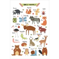Postcard #1840 | Forest Animals