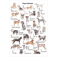 Postcard #1846 | Dog's Alphabet