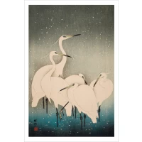 Postcard #1990 | Egrets in Snow