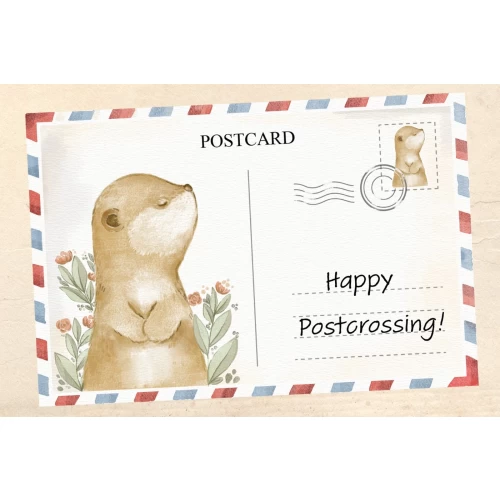 Postcard #2080 | Cute Otter