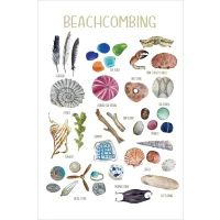 Postcard #2114 | Beachcombing