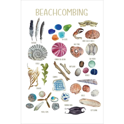 Postcard #2114 | Beachcombing