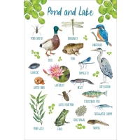Postcard #2115 | Pond and Lake