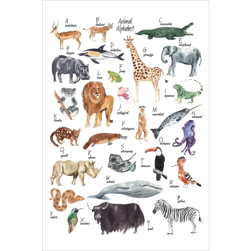 Postcard #2116 |  Animal ABC