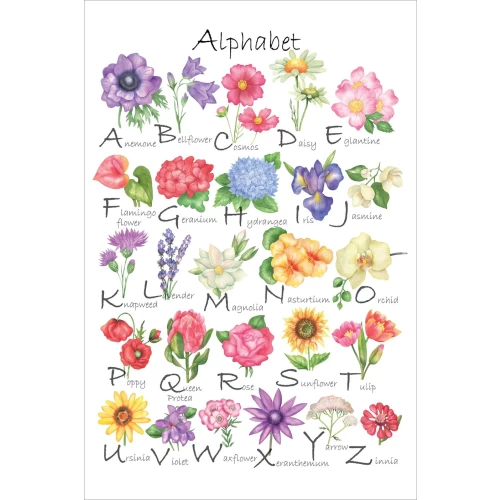 Postcard #2117 | Flower Alphabet