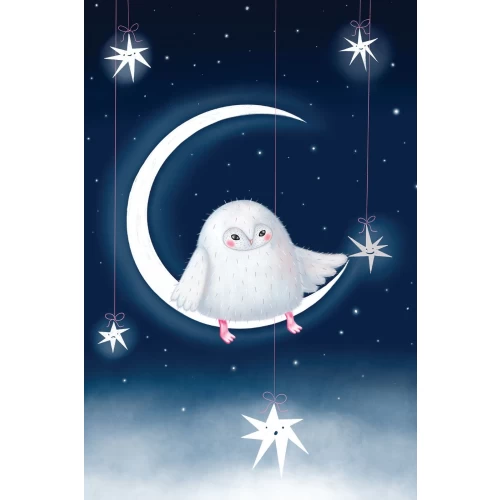 Postcard #2121 | Night Owl