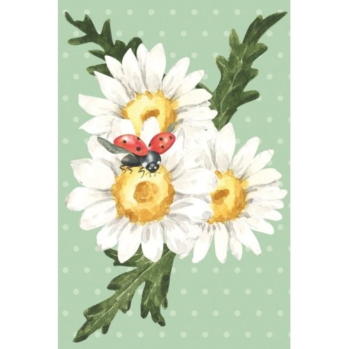 5 Postcard Set: Flower Lovers - Image 6