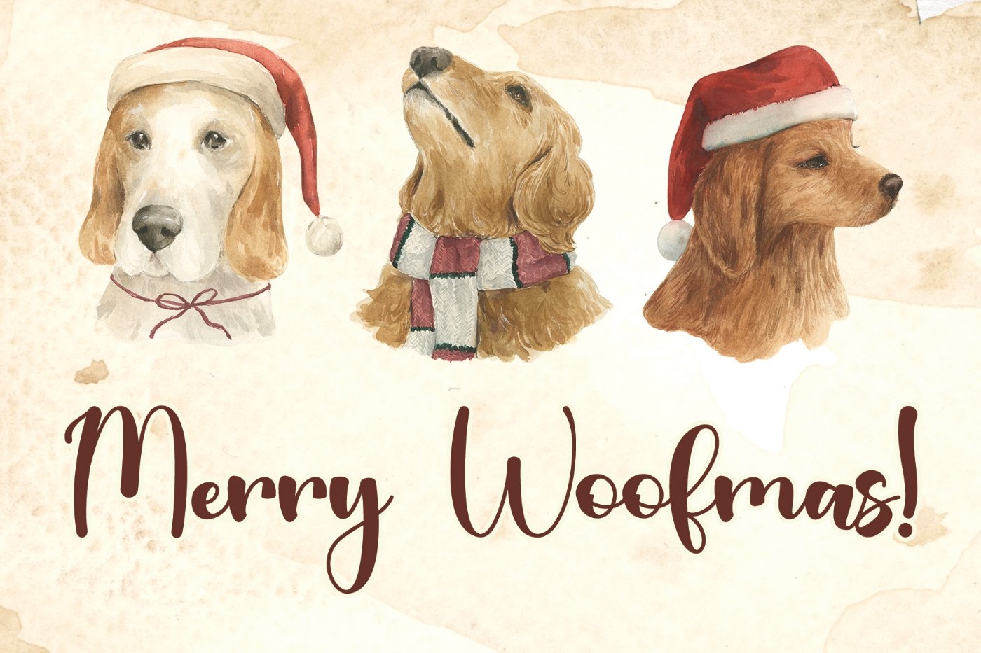 Postcard #2288: Christmas postcard