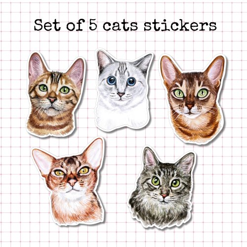 Set of 5 Cat Stickers