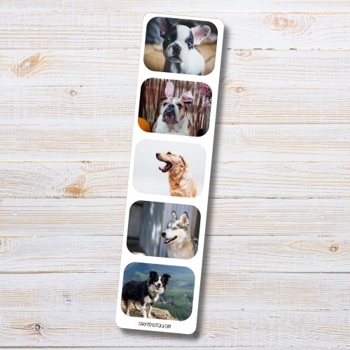 Sticker sheet #274: Dog Photography