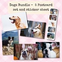 Dogs Collection | 5 Photo Postcards + Matching Sticker Sheet
