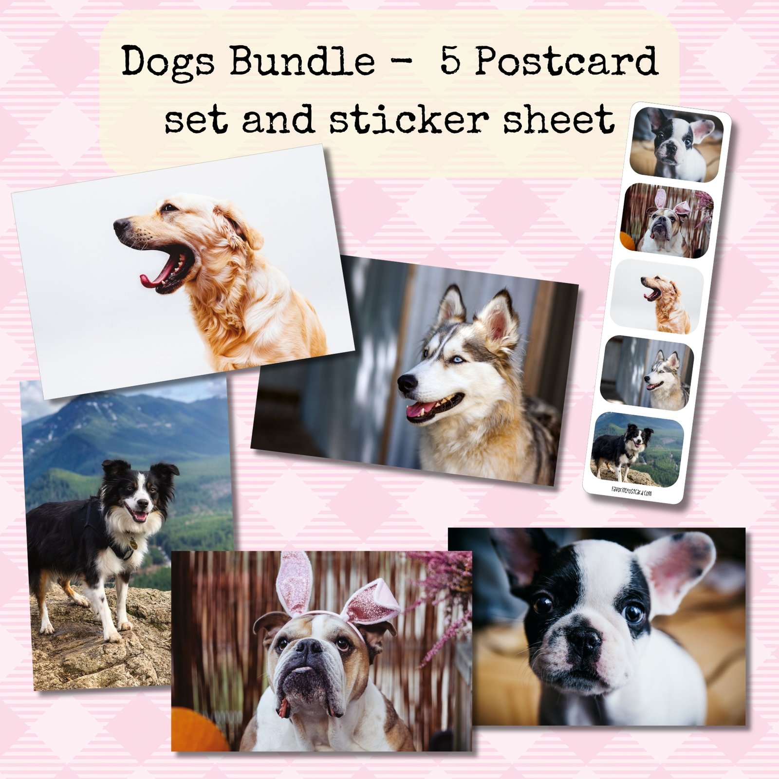 Dogs Collection | 5 Photo Postcards + Matching Sticker Sheet