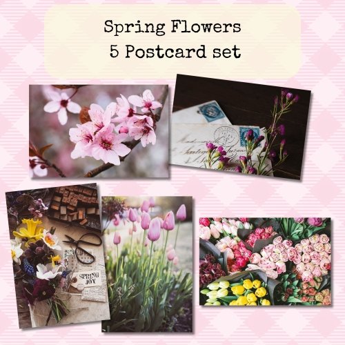 Spring Flowers | 5 Photo Postcard Set