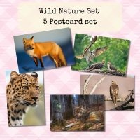 Wild Nature | 5 Photo Postcard Set