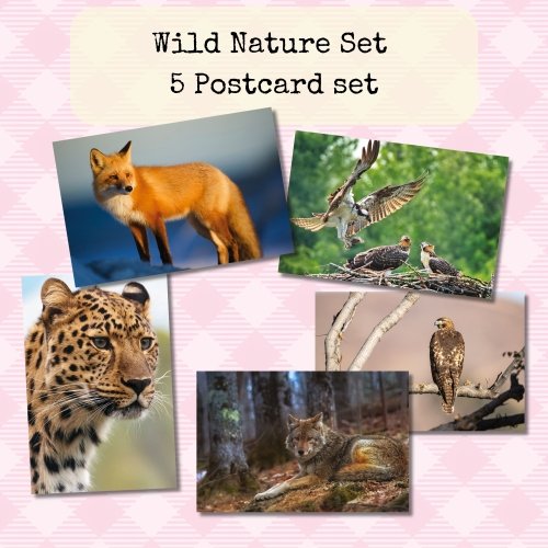 Wild Nature | 5 Photo Postcard Set