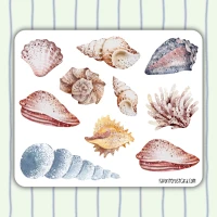 Sticker sheet #289: Seashell