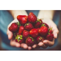 Postcard #2374 | Strawberries