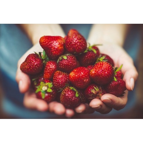 Postcard #2374 | Strawberries