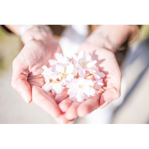Postcard #2376 | Blooms in Hands