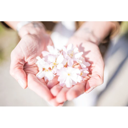 Postcard #2376 | Blooms in Hands