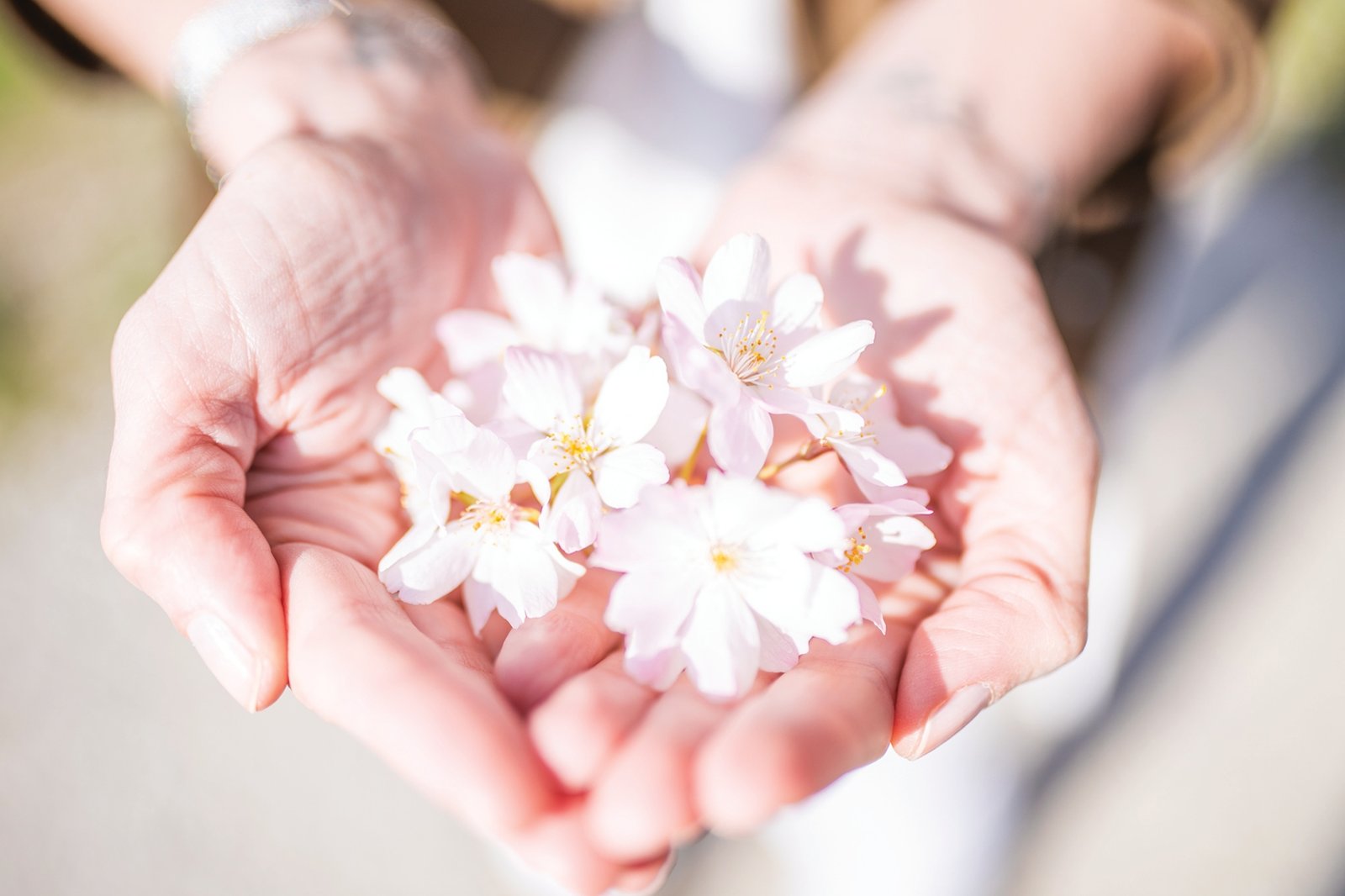 Postcard #2376 | Blooms in Hands