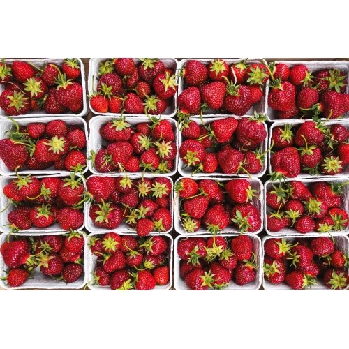 Postcard #2379| Strawberries