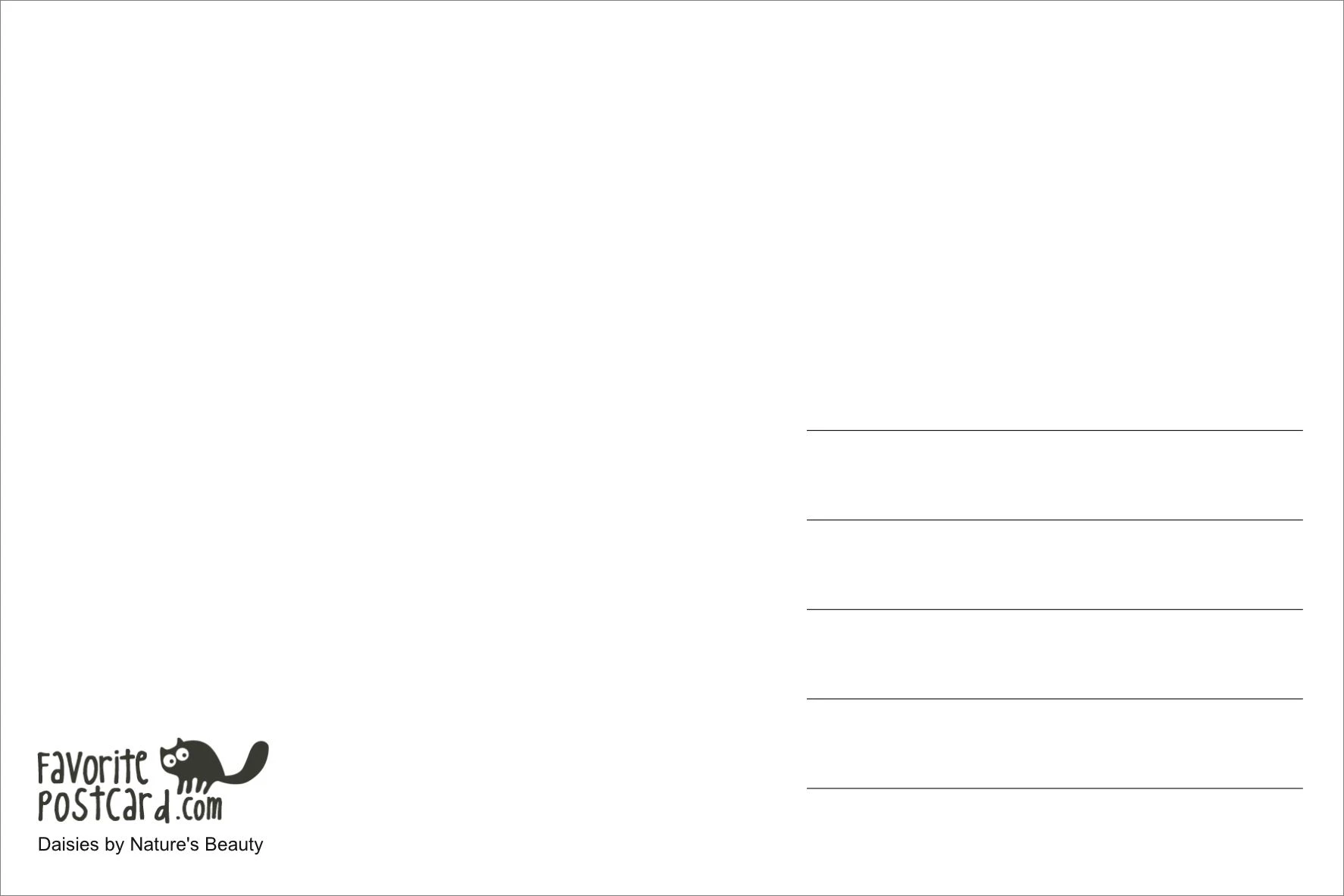 Postcard #2381 | Daisies - Image 2