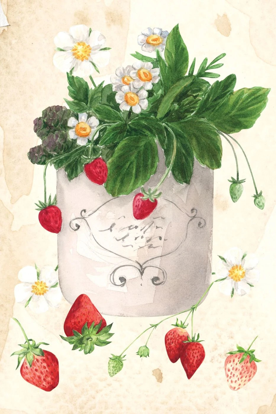 Postcard #2388 | Strawberries
