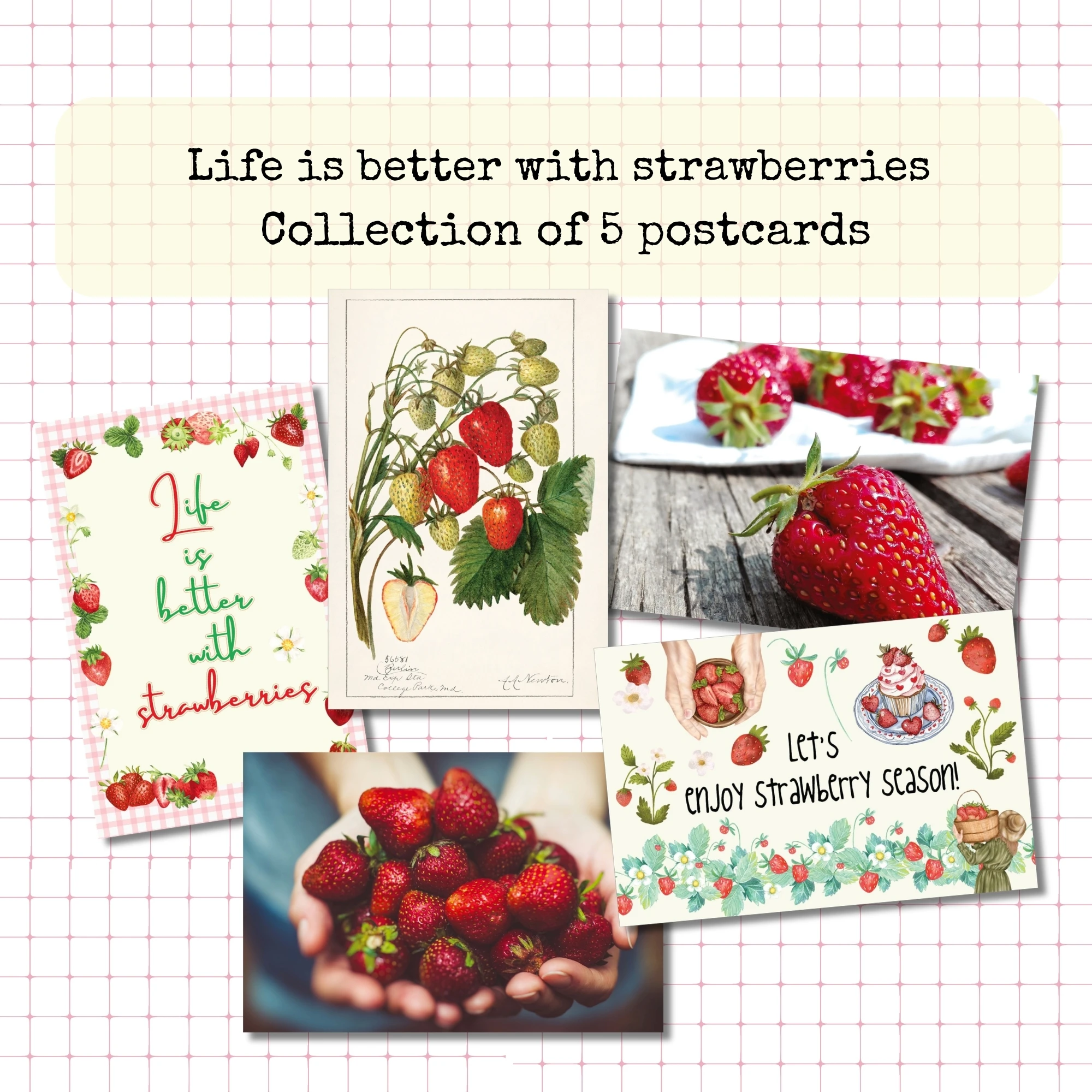 Strawberries | 5 Postcard Set