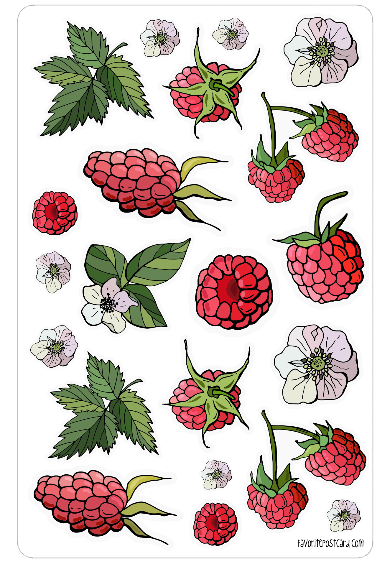 Sticker sheet: Raspberry - Image 2