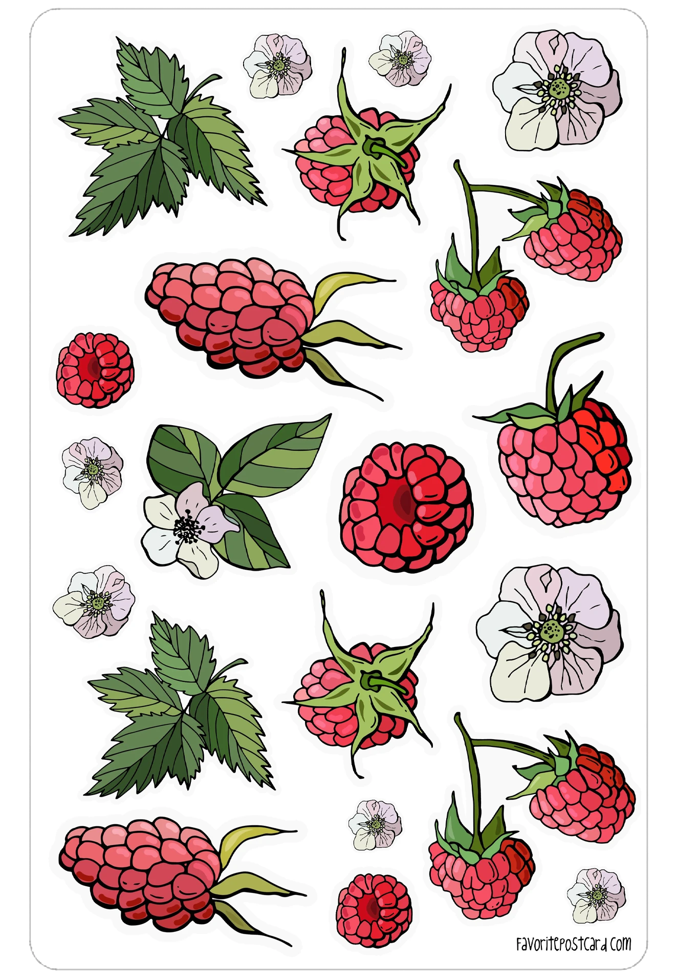 Sticker sheet: Raspberry - Image 2