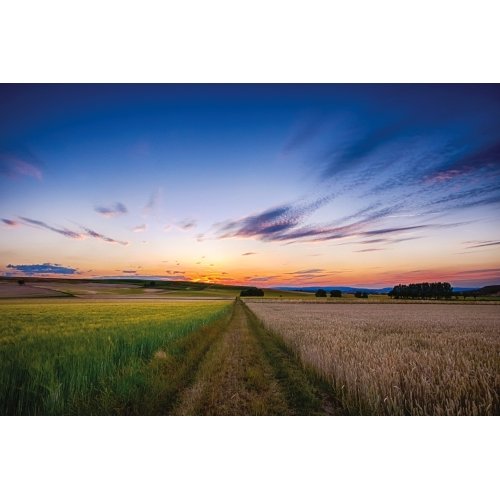 Postcard #2417 | Countryside Sunset