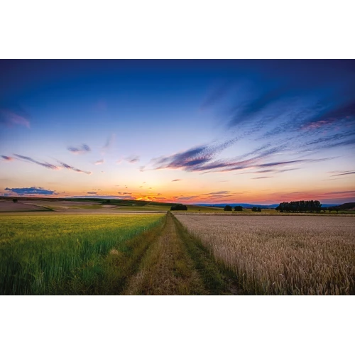 Postcard #2417 | Countryside Sunset