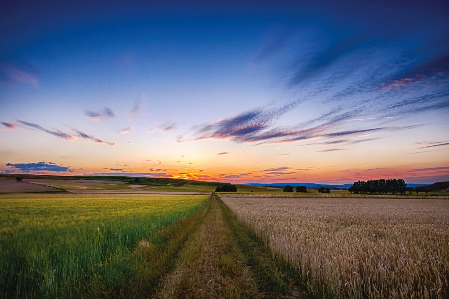 Postcard #2417 | Countryside Sunset