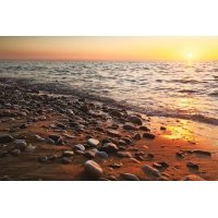 Postcard #2419 | Pebble Beach Sunset