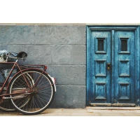 Postcard #2423 | Blue Door and Bicycle