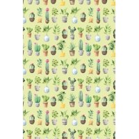 Postcard #2427 | Potted Plants Pattern